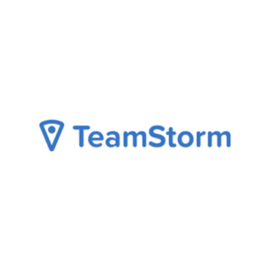 TeamStorm logo